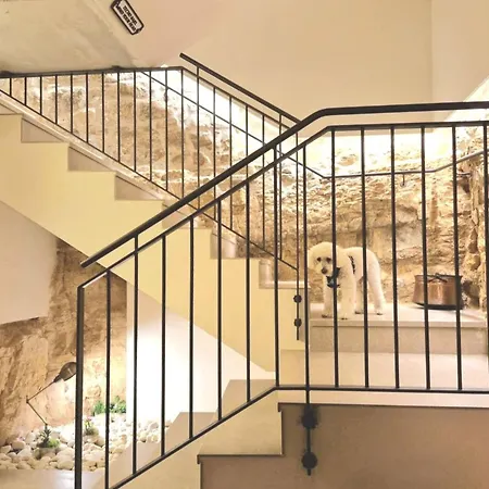 Cal Roseto Con Jacuzzi Prázdninový dům Selvanera