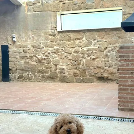 Prázdninový dům Cal Roseto Con Jacuzzi *